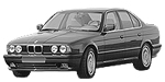 BMW E34 P100D Fault Code
